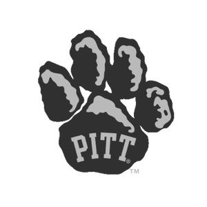 University of Pittsburgh